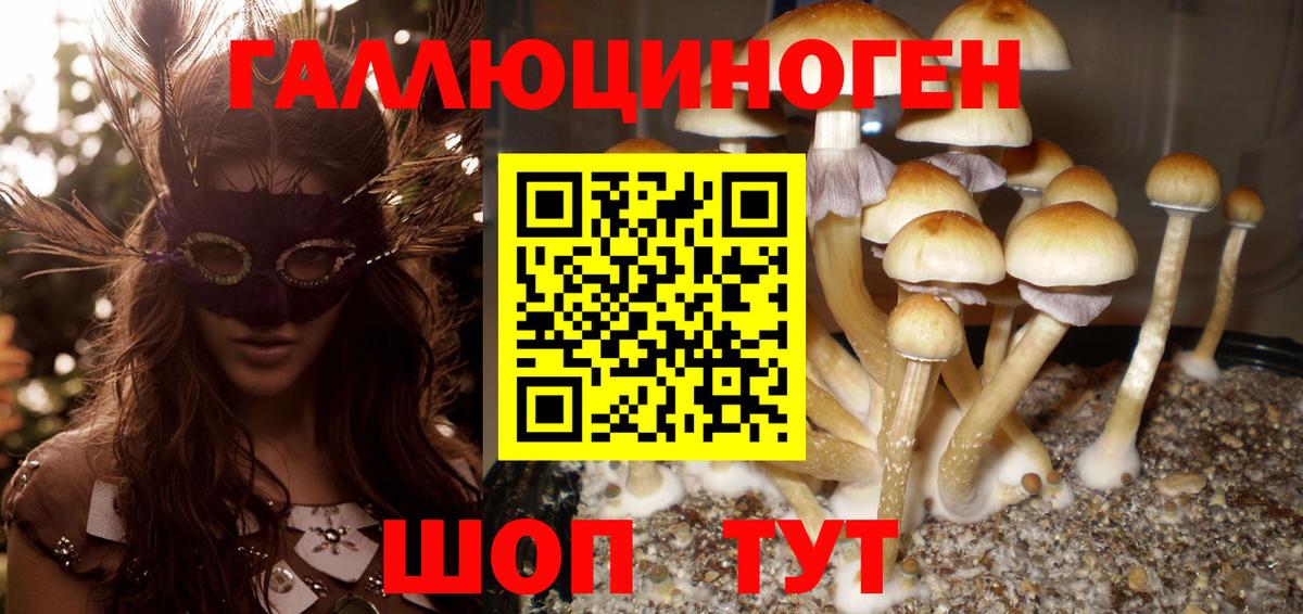 Северск  Псилоцибиновые грибы Cubensis  Галлюциногенные грибы мицелий  Вход с VPN 
