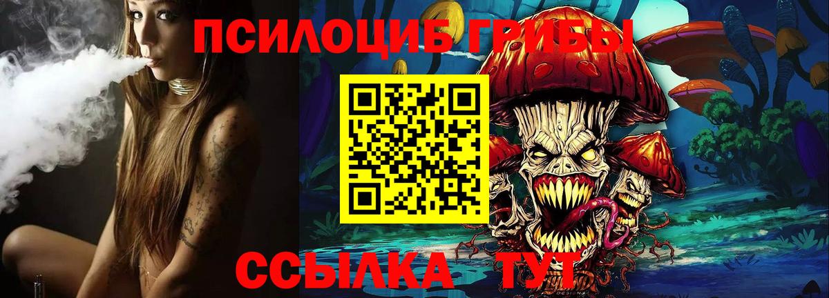 Галлюциногенные грибы Psilocybe Северск