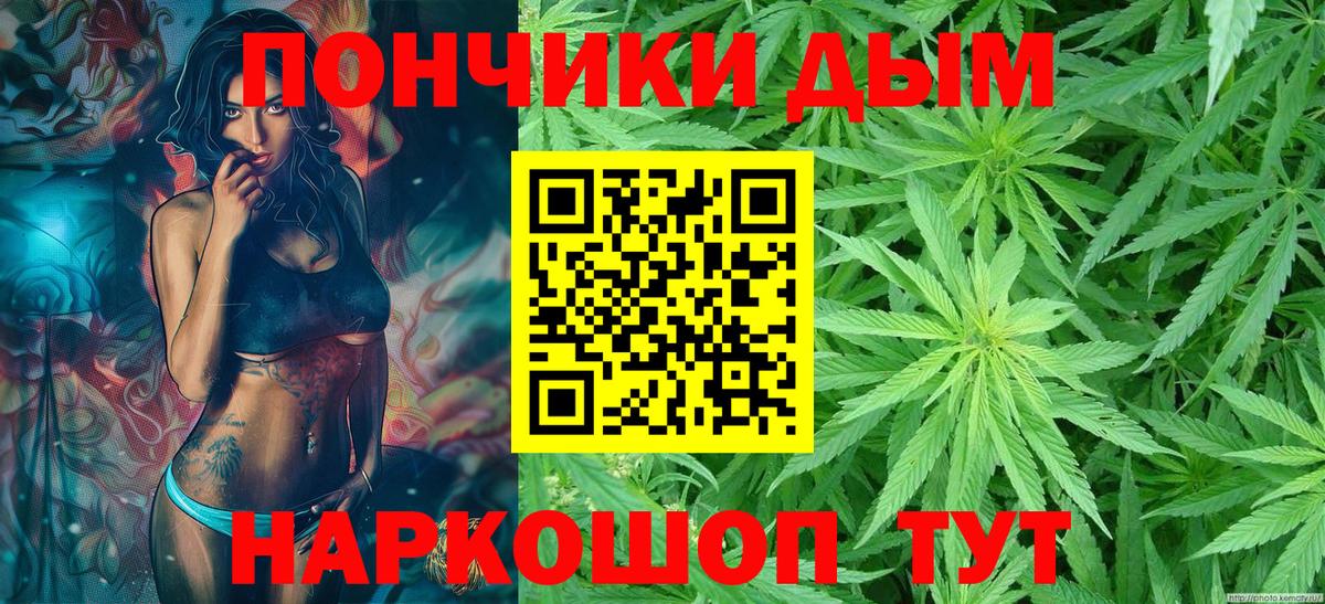 Шишки марихуана сатива Северск
